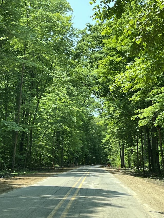 7530 Warren Woods Rd, Three Oaks, MI 49128 - view of asphalt street featuring a view of trees