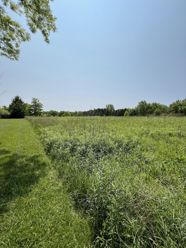 7530 Warren Woods Rd, Three Oaks, MI 49128 - view of nature featuring rural landscape