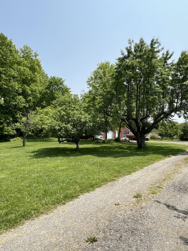 7530 Warren Woods Rd, Three Oaks, MI 49128 - view of community with a lawn