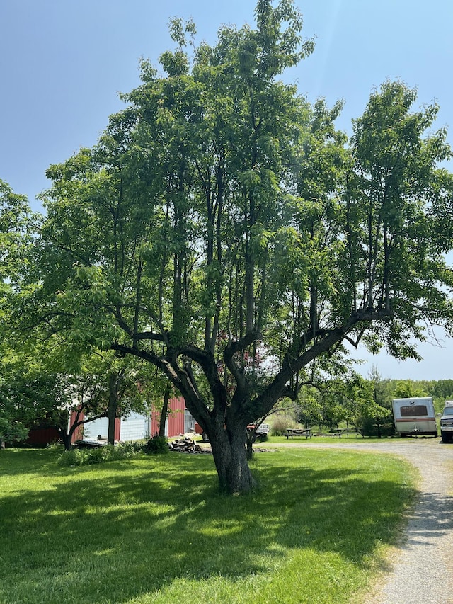 7530 Warren Woods Rd, Three Oaks, MI 49128 - view of grassy yard