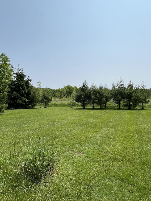 7530 Warren Woods Rd, Three Oaks, MI 49128 - view of green lawn featuring a view of rural / pastoral area