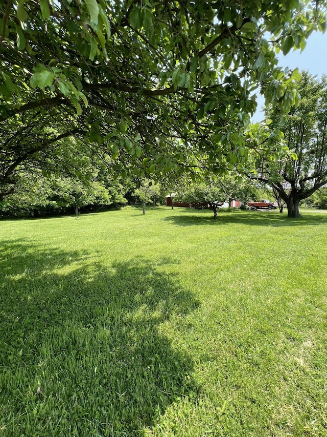 7530 Warren Woods Rd, Three Oaks, MI 49128 - view of green lawn