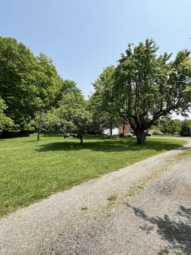 7530 Warren Woods Rd, Three Oaks, MI 49128 - view of dirt / gravel driveway