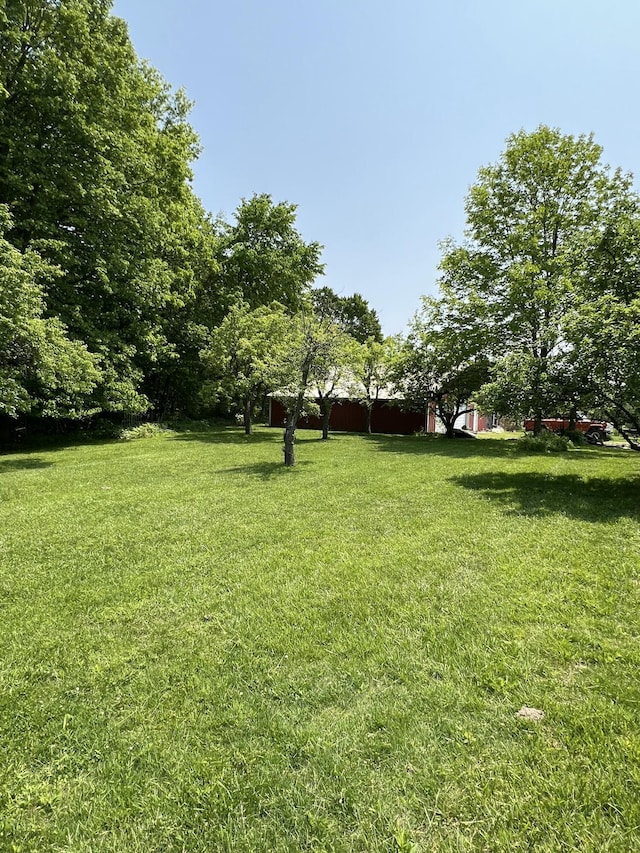 7530 Warren Woods Rd, Three Oaks, MI 49128 - view of green lawn
