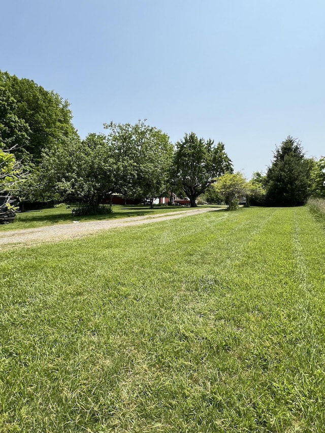 7530 Warren Woods Rd, Three Oaks, MI 49128 - view of grassy yard