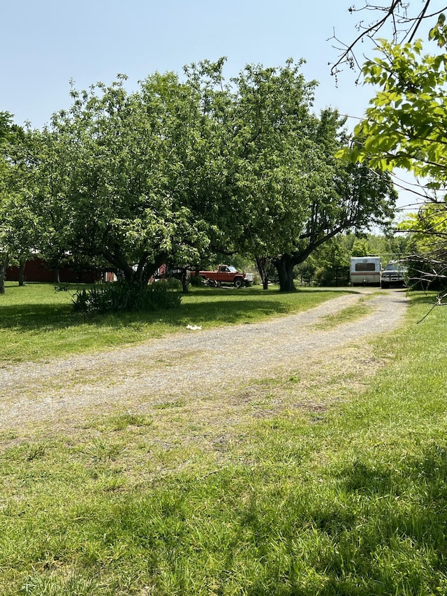 7530 Warren Woods Rd, Three Oaks, MI 49128 - view of green lawn