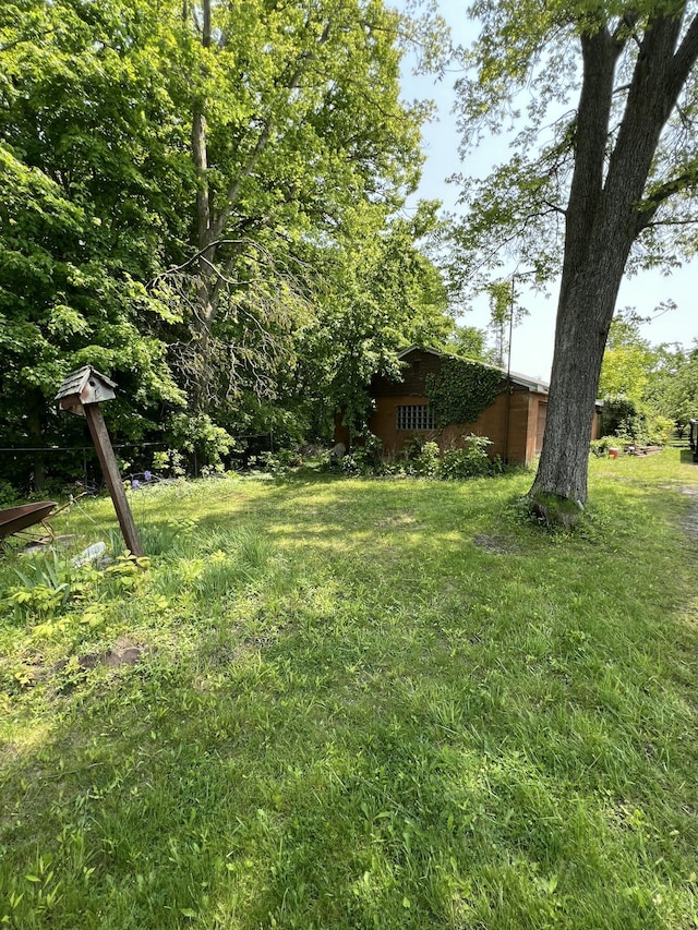 7530 Warren Woods Rd, Three Oaks, MI 49128 - view of grassy yard