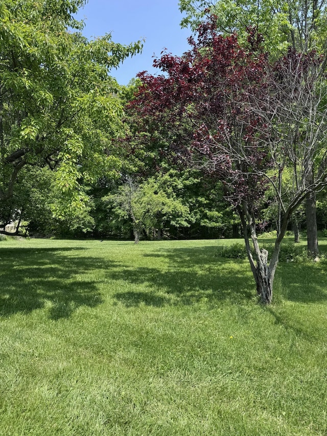 7530 Warren Woods Rd, Three Oaks, MI 49128 - view of green lawn