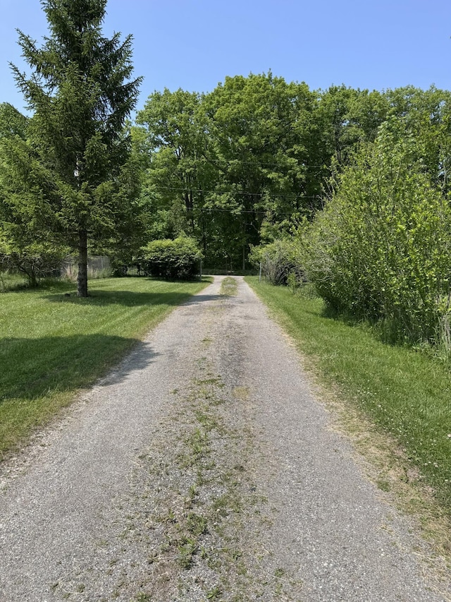 7530 Warren Woods Rd, Three Oaks, MI 49128 - view of dirt / gravel road featuring a view of trees