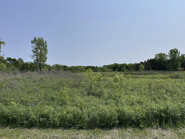 7530 Warren Woods Rd, Three Oaks, MI 49128 - view of nature featuring rural landscape