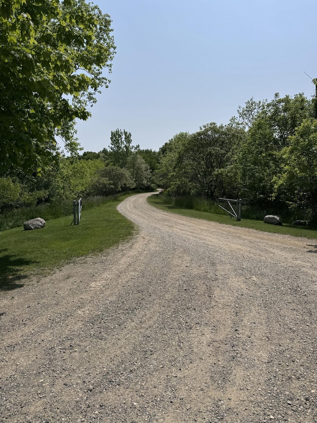 7530 Warren Woods Rd, Three Oaks, MI 49128 - view of dirt / gravel road featuring a forest view