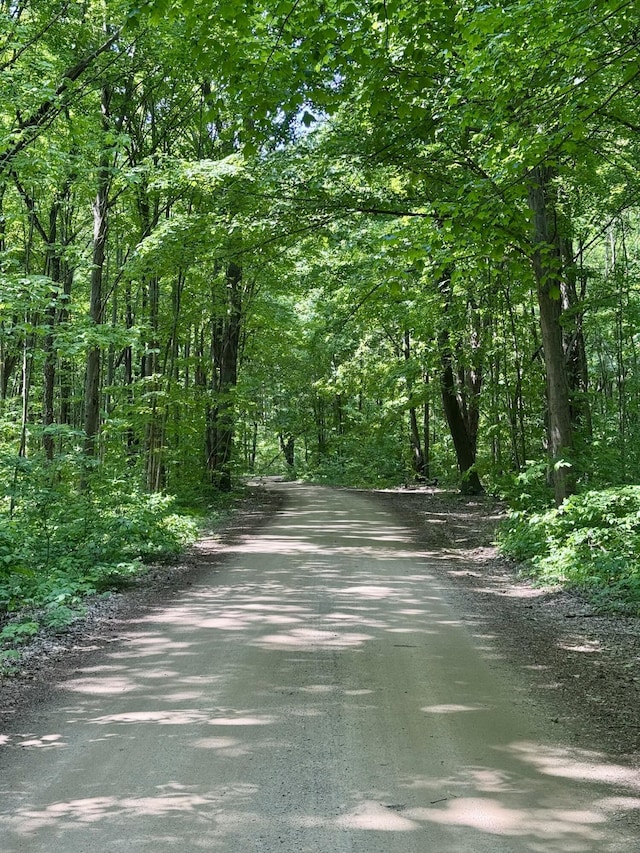 7530 Warren Woods Rd, Three Oaks, MI 49128 - view of dirt / gravel road with a forest view