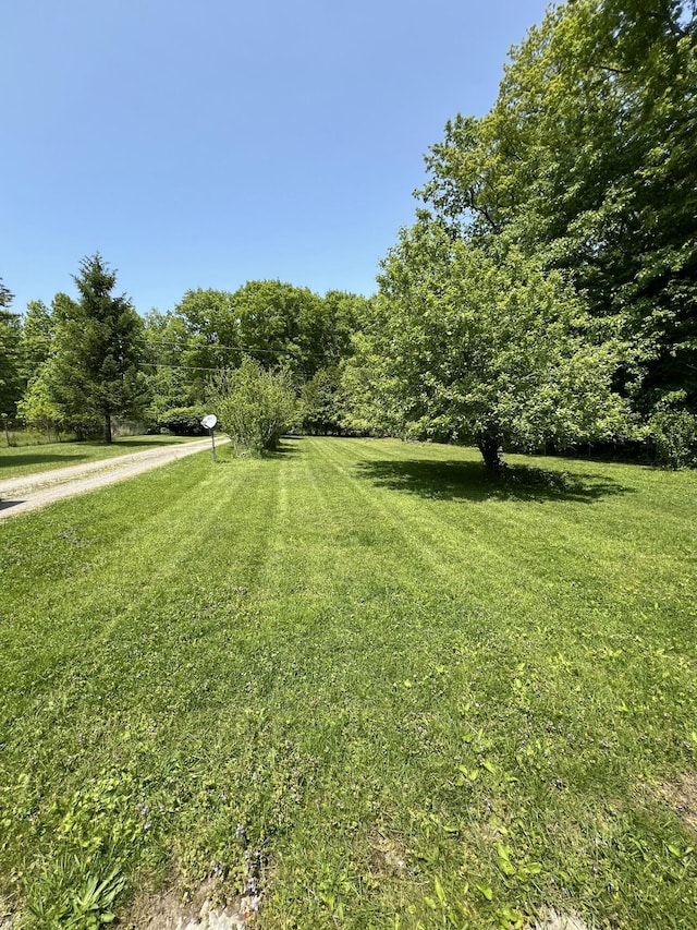 7530 Warren Woods Rd, Three Oaks, MI 49128 - view of green lawn