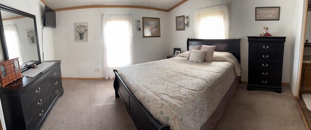 2550 Russell Rd, Baroda, MI 49101 - photo 15