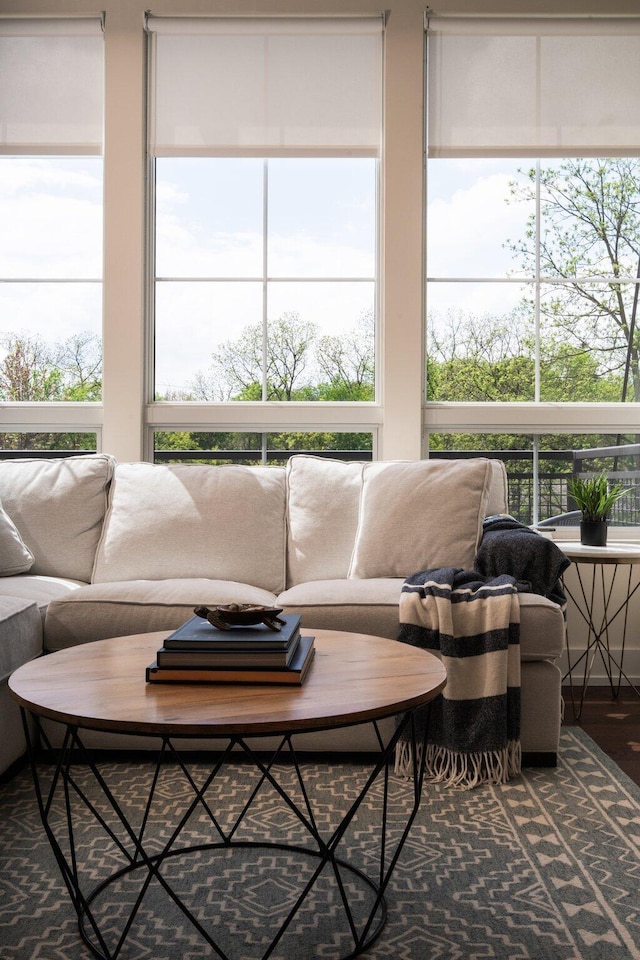 410 N First St Unit 207, Ann Arbor, MI 48103 - sunroom featuring healthy amount of natural light