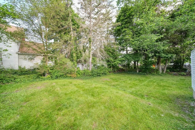 174 W Mansion St, Jackson, MI 49203 - view of grassy yard