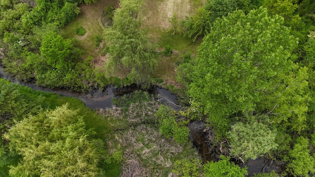 238 Long Ave, Michigan Center, MI 49254 - bird's eye view