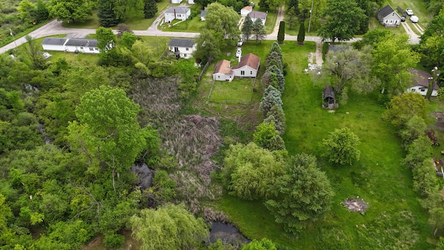 238 Long Ave, Michigan Center, MI 49254 - aerial view of residential area
