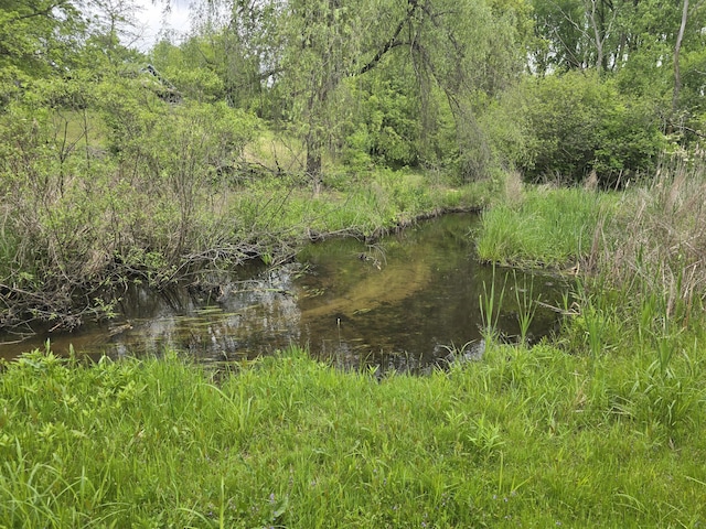 238 Long Ave, Michigan Center, MI 49254 - view of undeveloped land