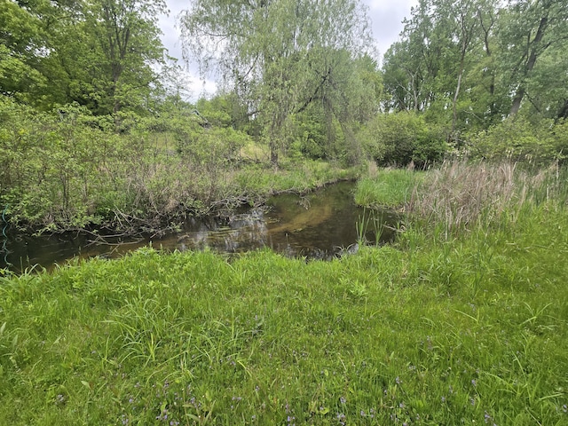 238 Long Ave, Michigan Center, MI 49254 - view of nature