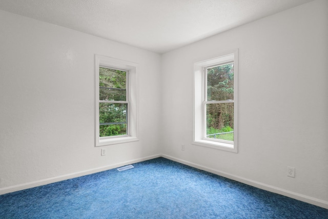 238 Long Ave, Michigan Center, MI 49254 - unfurnished room featuring healthy amount of natural light, carpet floors, and baseboards