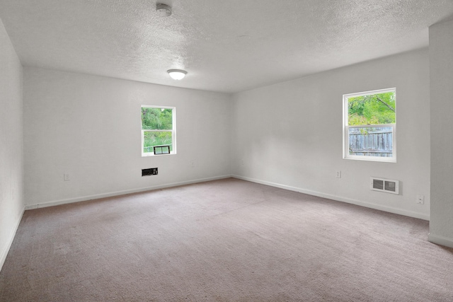 238 Long Ave, Michigan Center, MI 49254 - spare room featuring plenty of natural light, a textured ceiling, baseboards, and carpet floors
