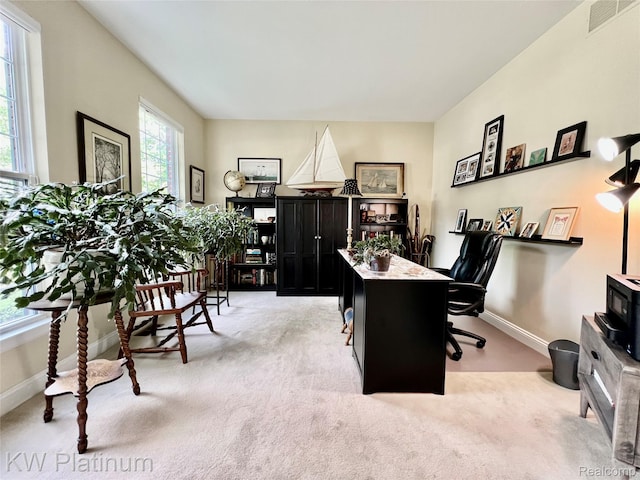 3105 E Woodland Dr, Port Huron, MI 48060 - carpeted office with baseboards and a wood stove