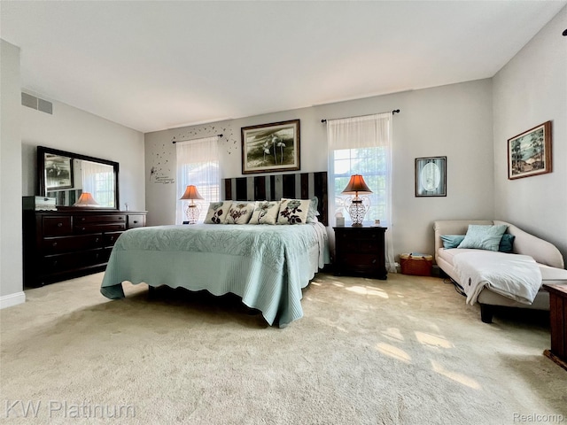 3105 E Woodland Dr, Port Huron, MI 48060 - bedroom featuring multiple windows and light carpet