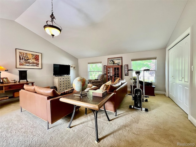 3105 E Woodland Dr, Port Huron, MI 48060 - living room featuring vaulted ceiling, plenty of natural light, and carpet
