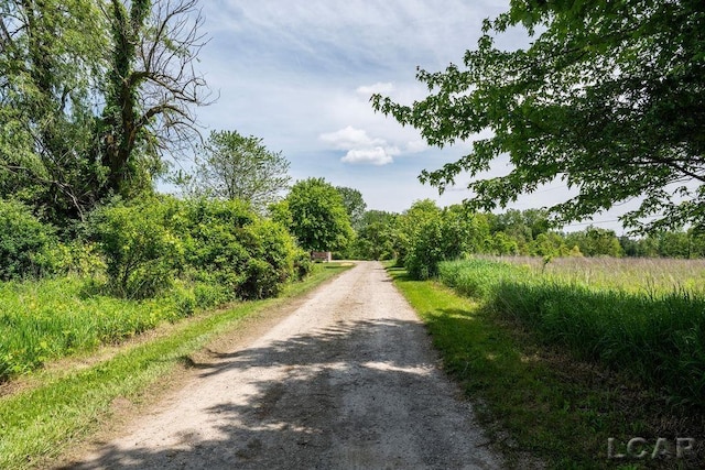 1443 N Posey Lake Rd, Hudson, MI 49247 - view of street