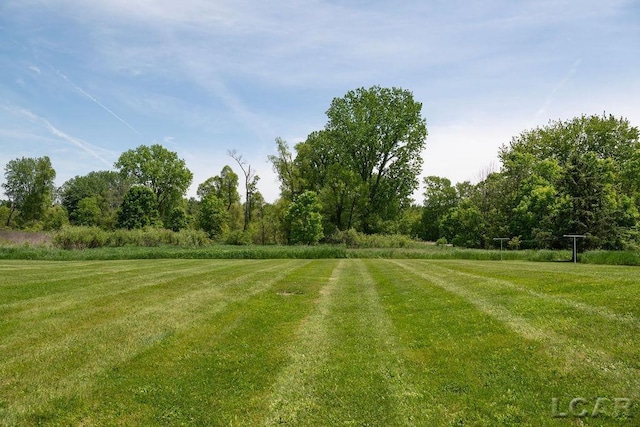 1443 N Posey Lake Rd, Hudson, MI 49247 - view of grassy yard