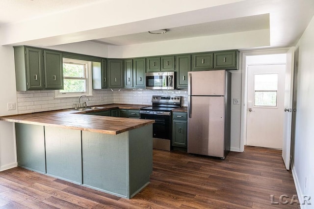 1443 N Posey Lake Rd, Hudson, MI 49247 - kitchen featuring appliances with stainless steel finishes, green cabinetry, wooden counters, a sink, and a peninsula
