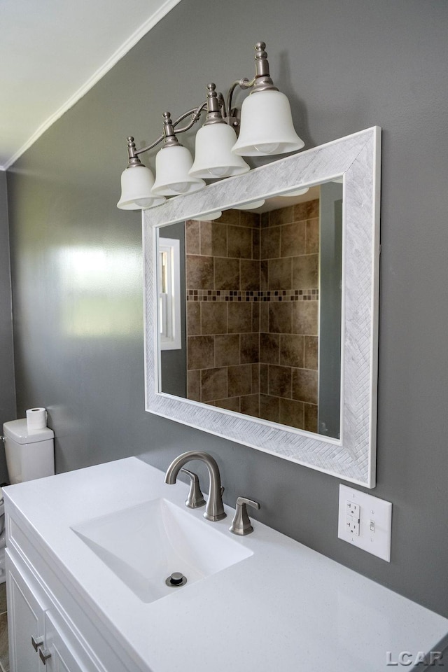 1443 N Posey Lake Rd, Hudson, MI 49247 - bathroom with vanity and toilet