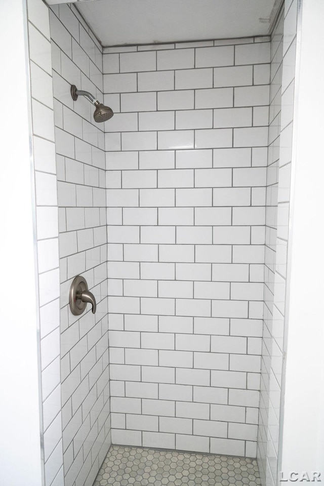 1443 N Posey Lake Rd, Hudson, MI 49247 - bathroom with a shower stall