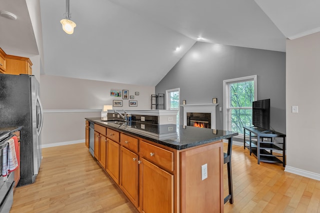3366 Endsleigh Ln, Ypsilanti, MI 48197 - kitchen featuring a sink, light wood-style floors, a glass covered fireplace, appliances with stainless steel finishes, and a kitchen bar