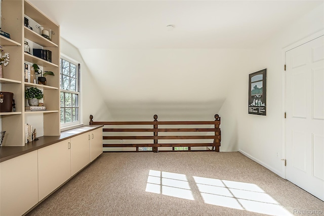 2694 Wayside Dr, Ann Arbor, MI 48103 - additional living space featuring lofted ceiling and carpet flooring