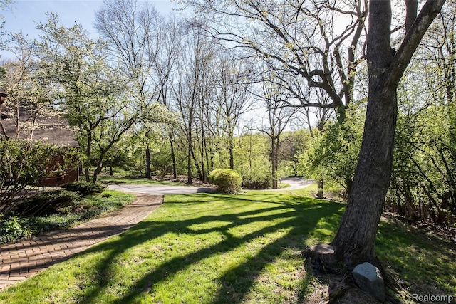 2694 Wayside Dr, Ann Arbor, MI 48103 - view of grassy yard