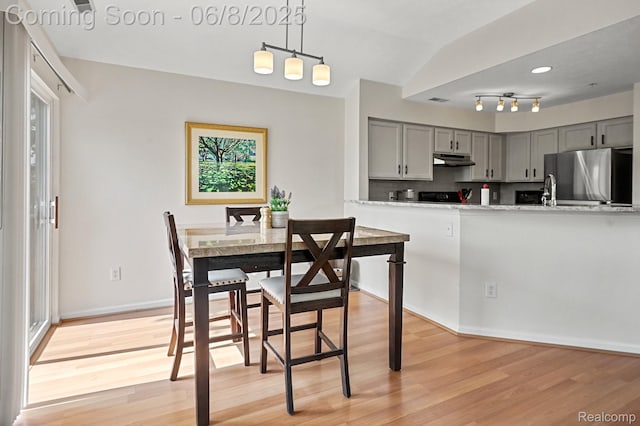1637 Coburn Dr, Ann Arbor, MI 48108 - dining area with light wood-type flooring, healthy amount of natural light, and baseboards