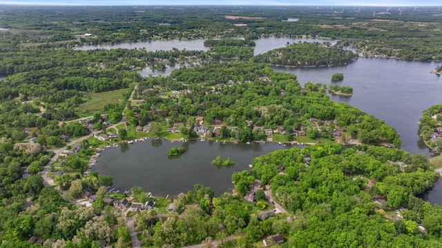 11815 Waldron Rd, Jerome, MI 49249 - bird's eye view of a nearby body of water and a heavily wooded area