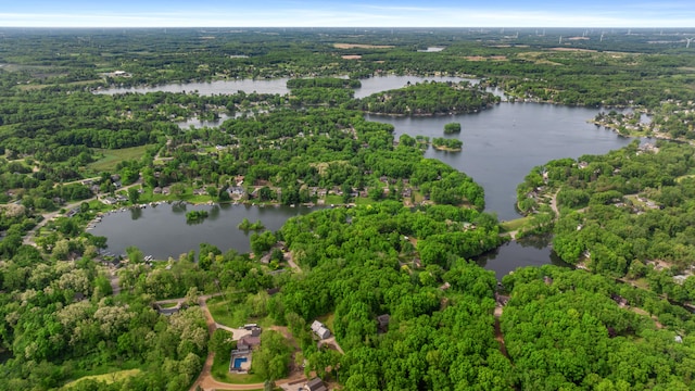 11815 Waldron Rd, Jerome, MI 49249 - view of property location featuring a nearby body of water and a forest