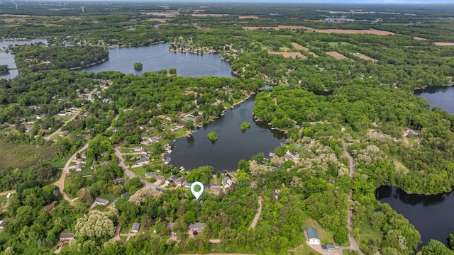 11815 Waldron Rd, Jerome, MI 49249 - aerial view of property and surrounding area with a large body of water and a forest