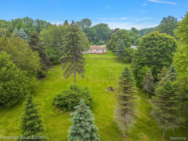 5125 Clarkston Rd, Clarkston, MI 48348 - view of subject property featuring a forest