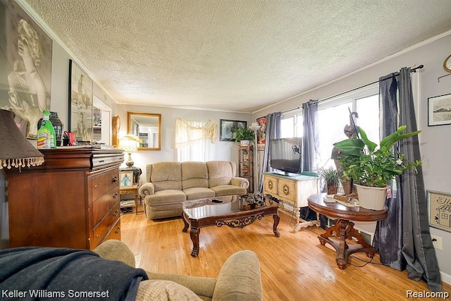 23733 Champaign St, Taylor, MI 48180 - living room with wood finished floors, a textured ceiling, and ornamental molding