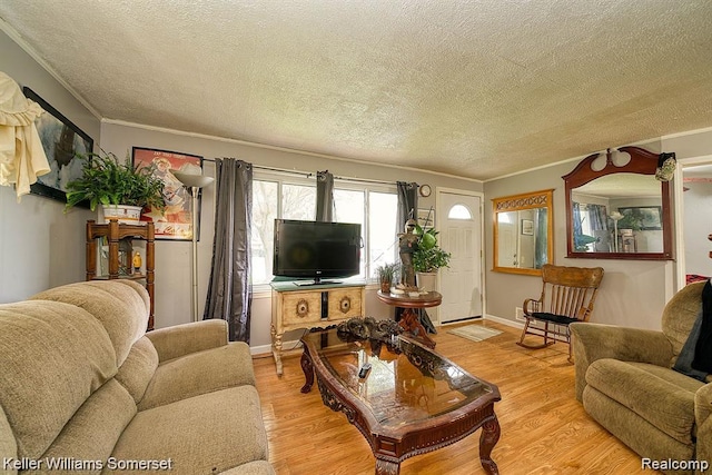 23733 Champaign St, Taylor, MI 48180 - living area with a textured ceiling, crown molding, light wood-style flooring, and baseboards