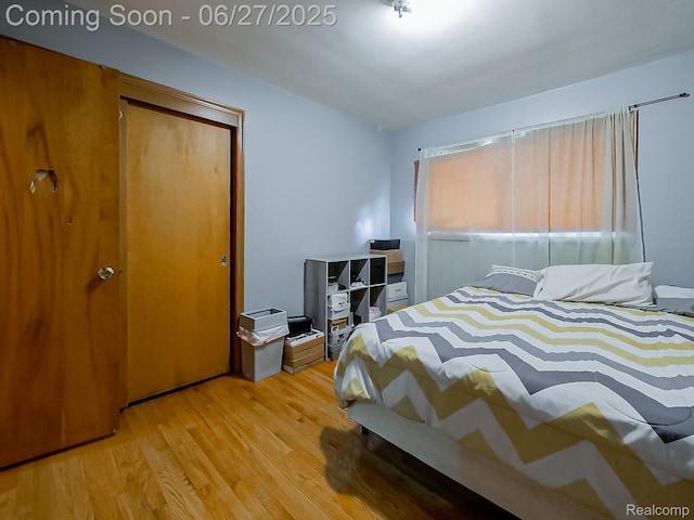 13973 Dixie, Redford, MI 48239 - bedroom with light wood finished floors and a closet