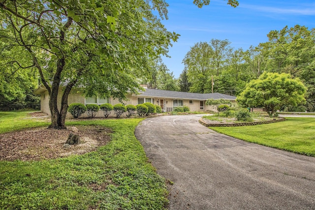 1205 Sassafras Ln, Niles, MI 49120 - single story home featuring asphalt driveway, a front yard, and brick siding