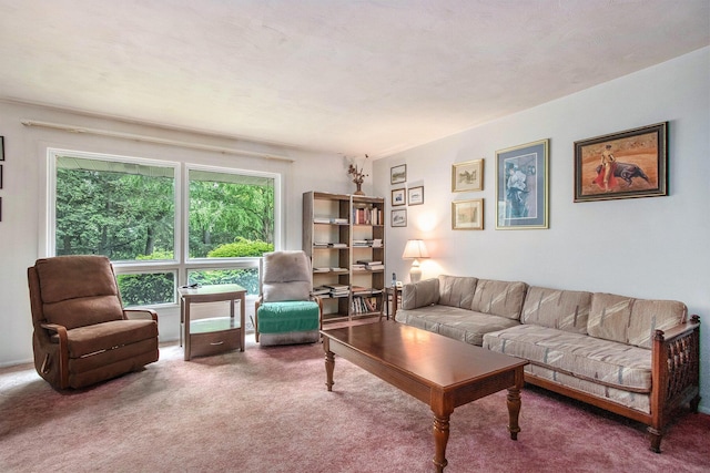 1205 Sassafras Ln, Niles, MI 49120 - view of carpeted living room