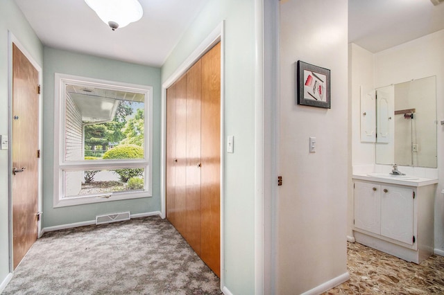1205 Sassafras Ln, Niles, MI 49120 - corridor with a sink, baseboards, and light colored carpet