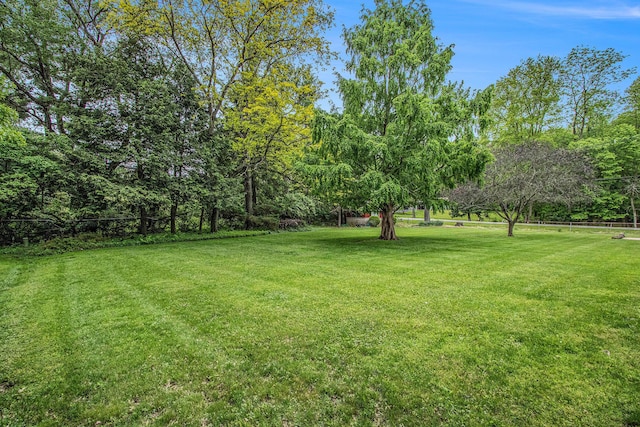 1205 Sassafras Ln, Niles, MI 49120 - view of grassy yard