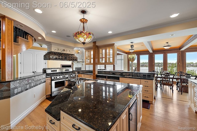 10611 Lighthouse Pt, South Lyon, MI 48178 - kitchen with stainless steel appliances, a sink, crown molding, light wood-style floors, and an island with sink